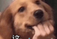 手上有飞机杯的人：不用炮架的区别到底有多大，你知道..
