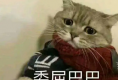 玩具玩多了，会不会变得不敏感？（女性篇）