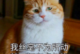 丁丁真的可以二次发育吗？