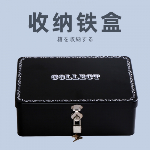RQS收纳盒情趣名器专用成人器具配件收纳袋带锁私密铁盒