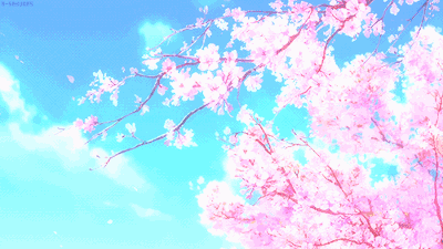 640-5.gif