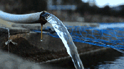 640 (2).gif