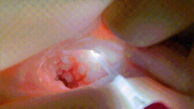 640.gif