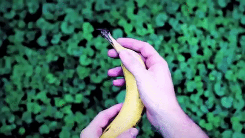 640 (6).gif