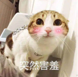 3.PNG