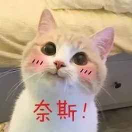5.PNG