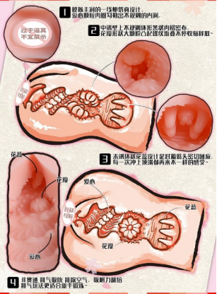 青春对子哈特和装萌娘飞机杯(图11) 男性情趣用品