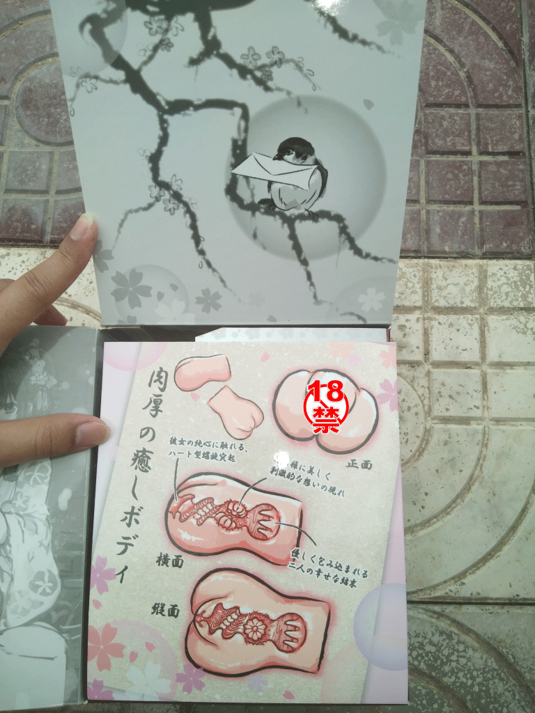 青春对子哈特和装萌娘飞机杯(图2) 男性情趣用品