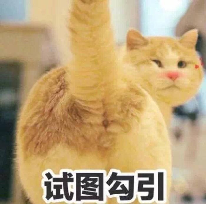 想买个飞机杯买哪个好呢