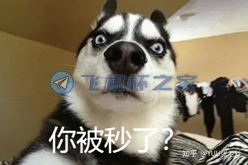 男性情趣用品